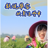 看！华容这些年“跳动”的扶贫数字