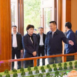 李爱武赴平江县调研督查