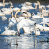 屈原法院:司法保护基地 迎来远方客人