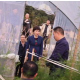 李爱武赴平江县田湖村调研脱贫攻坚工作