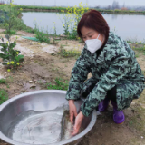 信息化助农 | 湖南岳阳君山区姐弟俩30万斤鲶鱼急找买家