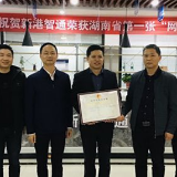 城陵矶新港区获授全省首张网络货运牌照