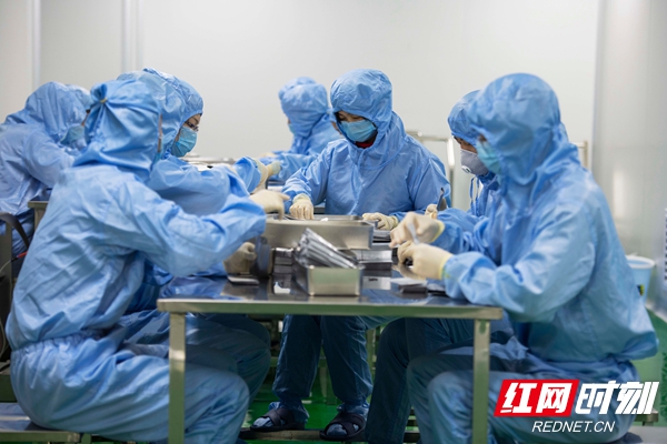 湖南康润药业股份有限公司工作人员正在进行产品检测包装。