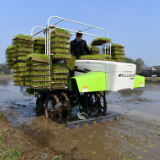 湘阴种粮大户迷上中联重科抛秧“神器”