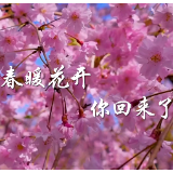 视频 | 春暖花开，你回来了！