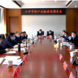 坚定信心共克时艰！汨罗全力推进铜产业链建设