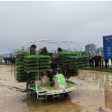 视频 | 岳阳市推广水稻有序抛秧技术 130台机械投入使用
