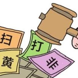 开展专项检查 净化社会环境 
