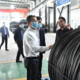 王瑰曙到新港区考察复星合力项目