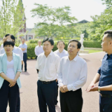 王一鸥今天在南湖新区调研时，着重提了这些要求⋯