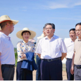 隋忠诚来岳督查防汛工作 李爱武参加