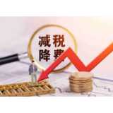 全国人大代表陈勇彪：用减税降费的“时间”，为企业换来发展的“空间”