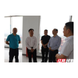 保靖县政府代表团来城陵矶新港区考察