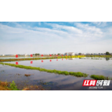 湘阴：土地流转成脱贫致富“强引擎”