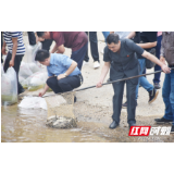 生态司法守护好一江碧水 湘阴425万尾鱼苗放流“母亲河”