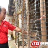 记者手记丨脱贫路上同行 致富还得靠自己