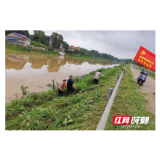 云溪：防洪一线党旗飘  干群上阵护家园