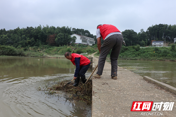 大荆镇”民间河长“于光辉和刘宏辉正在清理河道内的水草.jpg