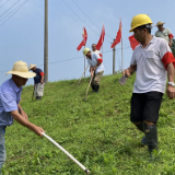 湘阴鹤龙湖镇好传统 ：汛期指令一发 “土专家”立刻回家护垸