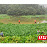 防汛不糊涂 “请”走水葫芦