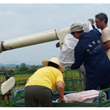 颗粒归仓!坦渡镇党员先锋队助农抢收早稻