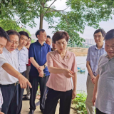 李爱武督查中心城区黑臭水体整治工作