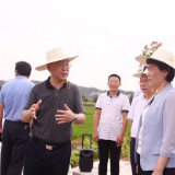 农业农村部副部长张桃林率队来岳调研