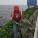 君山：防汛大堤上那抹最亮丽的红