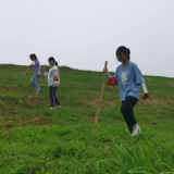 湘阴：“三朵金花”巡大堤