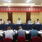 岳阳市召开全市脱贫攻坚工作调度暨扶贫办主任会议