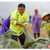 屈原管理区：血肉之躯捍卫河湖安澜人民安康