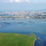 岳阳市防指：进一步做好长江洪水防御工作