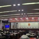 岳阳市八届人大常委会举行第二十九次会议