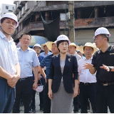李爱武调研洞庭南路历史文化街区建设及东风湖环境整治