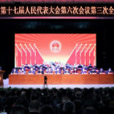 临湘市第十七届人民代表大会第六次会议胜利闭幕