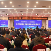 长江中游综合性航运物流中心建设论坛举行 共商口岸经济之策
