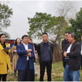 中国绿色食品发展中心来岳阳开展农产品地理标志工作调研