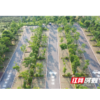 小车位大民生 岳阳南湖景区周边3175个停车位免费开放