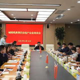 新港区为房地产项目“把脉问诊”