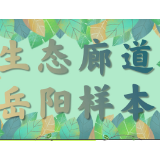 长图丨打造生态廊道建设的岳阳样本