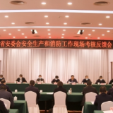 李爱武参加省安委会2021年度安全生产和消防工作现场考核岳阳反馈会