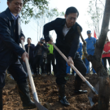 领导群众齐上阵，为岳阳再添新绿