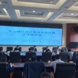 王小中主持中心城区违法建设分类处置工作座谈会