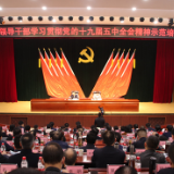 新发展 新开局 这堂党课为岳阳加快“三区一中心”建设指明方向