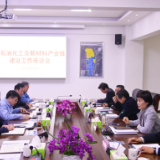 李爱武专题调研石油化工及新材料产业链建设
