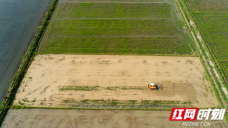 在建规模化大棚育秧基地2个、10000平方米以上；参与集中育秧农户8700多户，落实早稻面积39.5万亩。