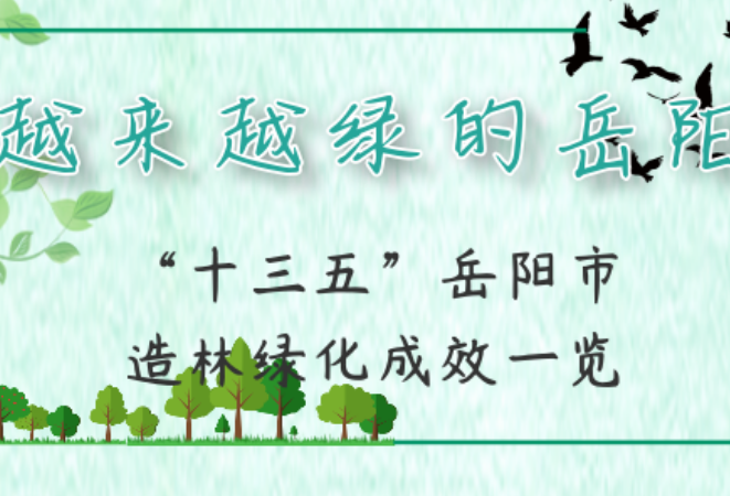 长图｜回望“十三五”岳阳市造林绿化成效