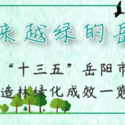 长图｜回望“十三五”岳阳市造林绿化成效