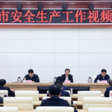 岳阳市召开安全生产工作视频会 王一鸥出席