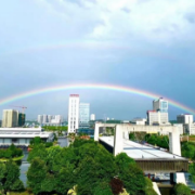 湖南城陵矶新港区：产业绿色长廊遇见“港区蓝” 背靠江河绘宏图